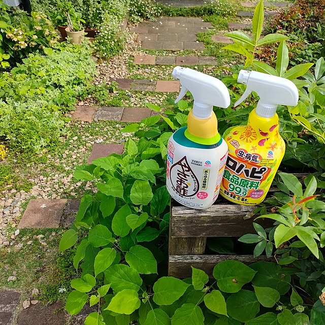 ai.happyplaceさんの実例写真