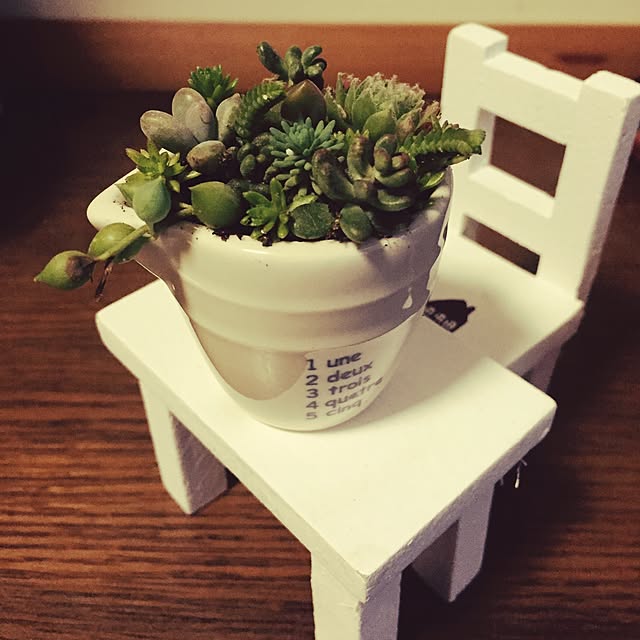 springさんの実例写真