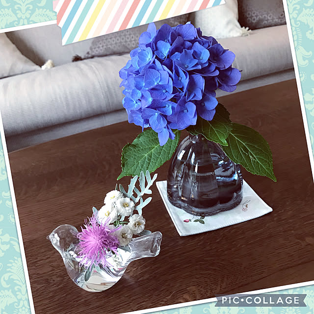 akoさんの実例写真