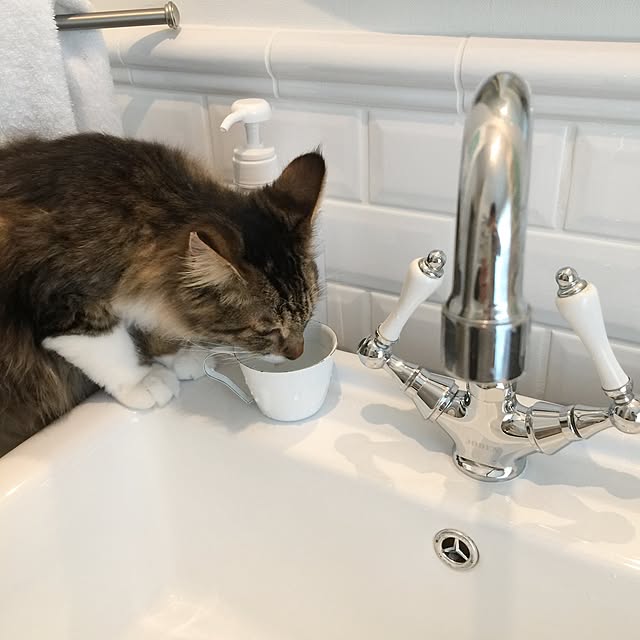yuchiさんの実例写真