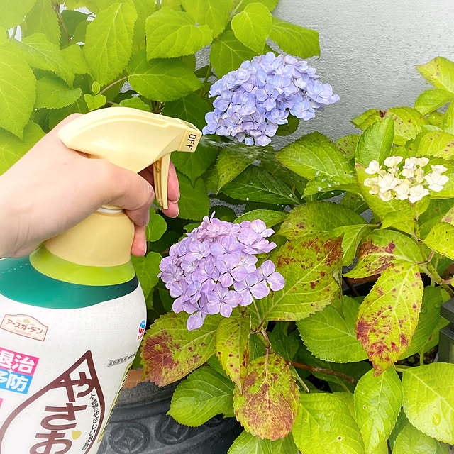luna.comさんの部屋