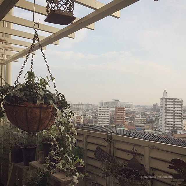 voyage.makiさんの実例写真