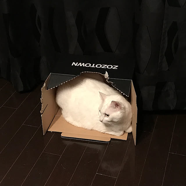 akuakuさんの実例写真