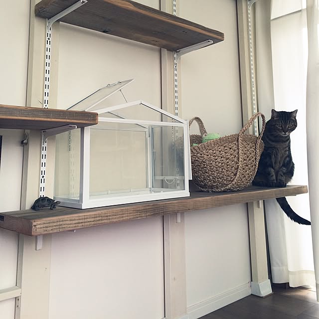 mikomaruさんの実例写真