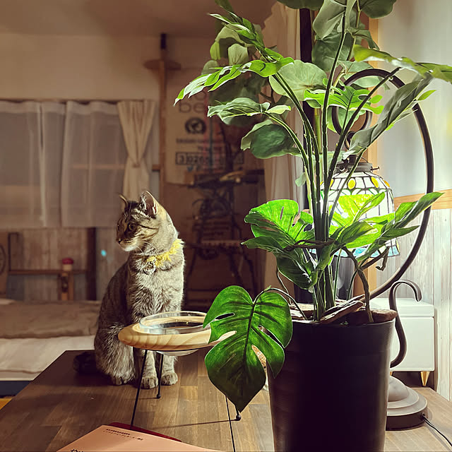 Mさんの実例写真