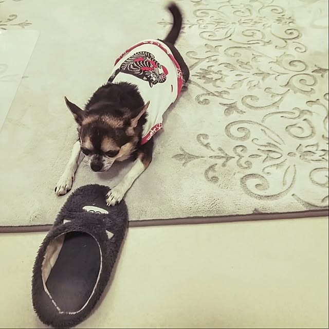 w+さんの部屋