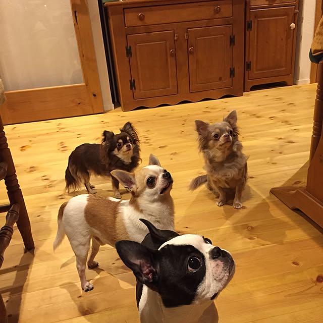 yumiさんの実例写真
