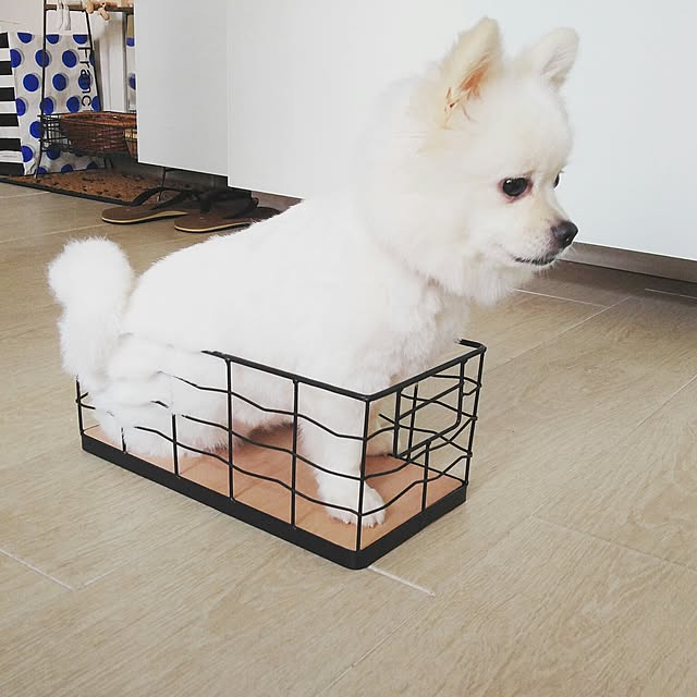 Belleさんの実例写真