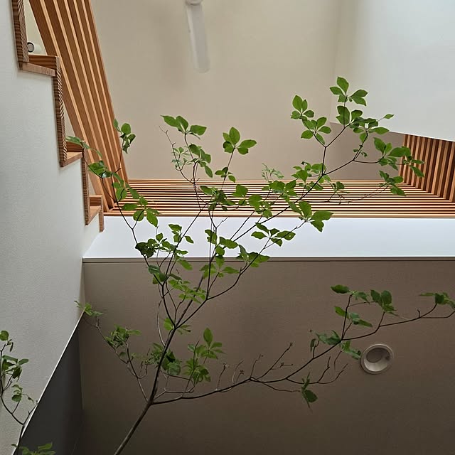 k-houseさんの実例写真