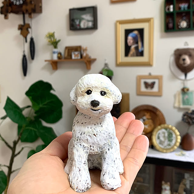 kotatsuさんの実例写真