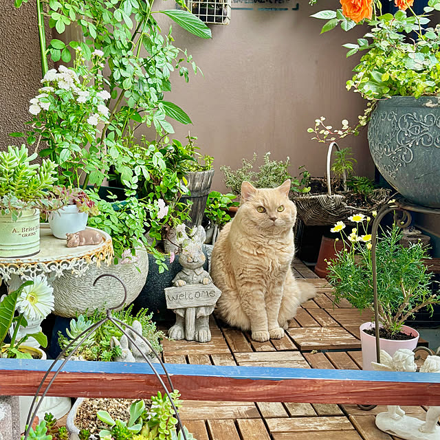 naokoさんの部屋