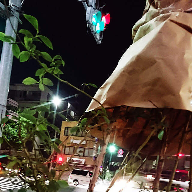 stsenjuさんの実例写真