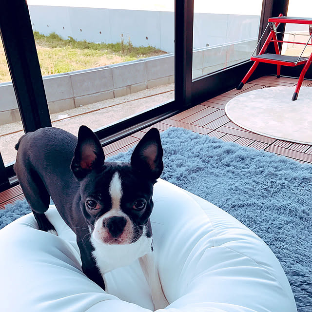 Megugu0512さんの実例写真