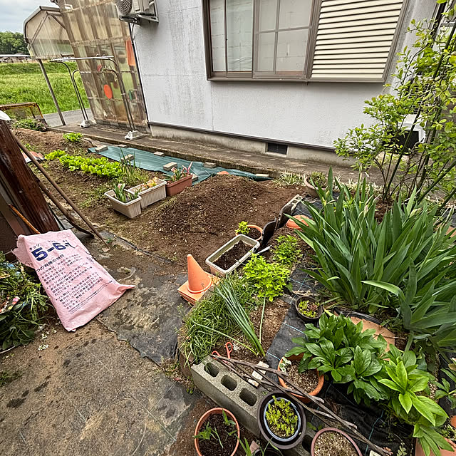 cyaroさんの実例写真