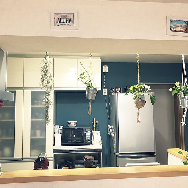 観葉植物/ハンドメイド/100均/キッチンのインテリア実例 - 2021-10-13 10:14:52