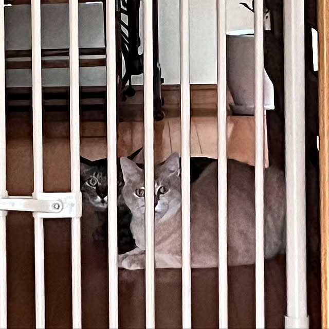 mikan161さんの実例写真