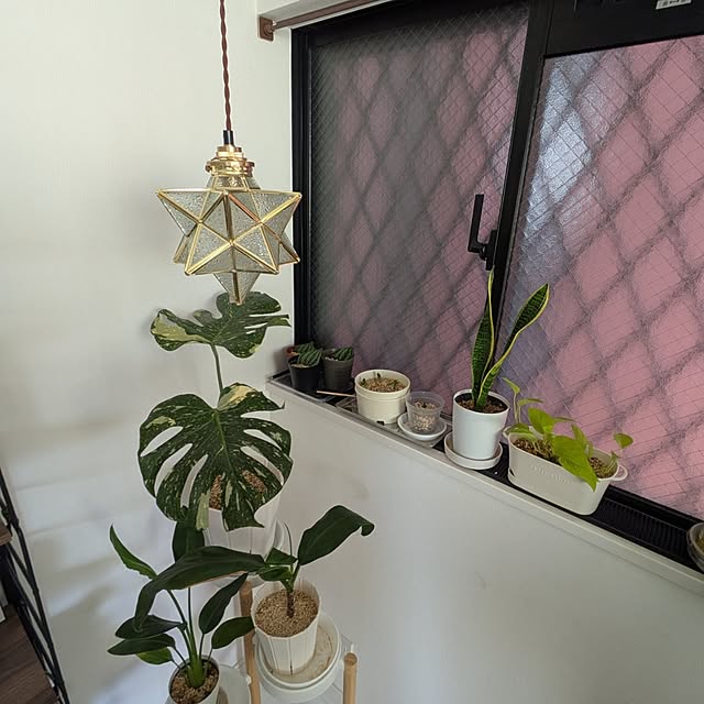 kolo92さんの部屋