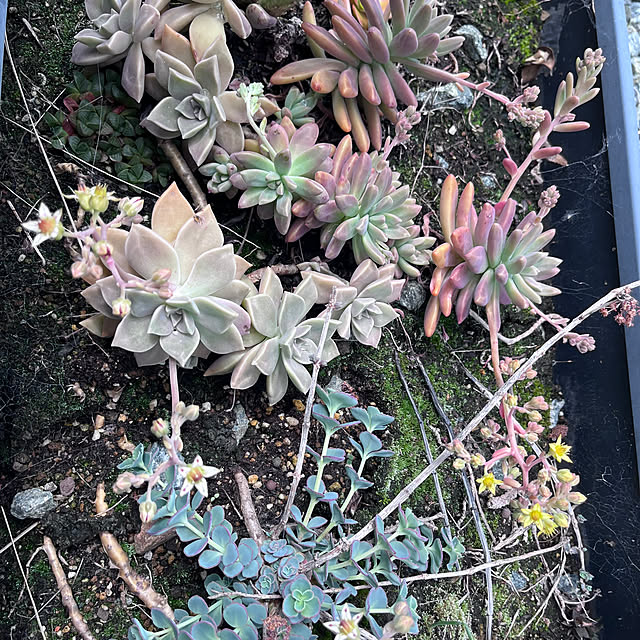 riakanaさんの部屋