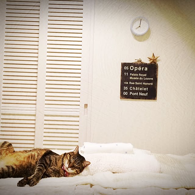 lovecatさんの実例写真
