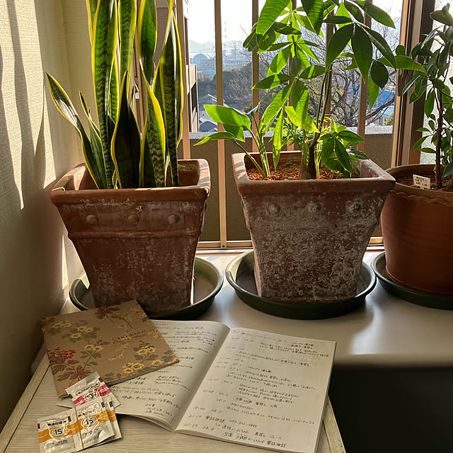 koshiregutyoさんの実例写真