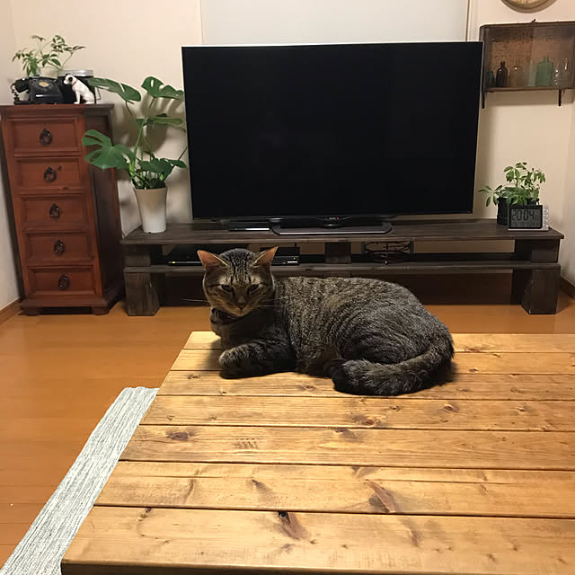 mikan161さんの実例写真