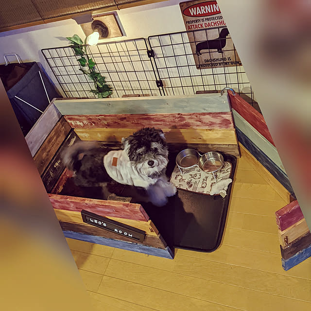 GINさんの実例写真