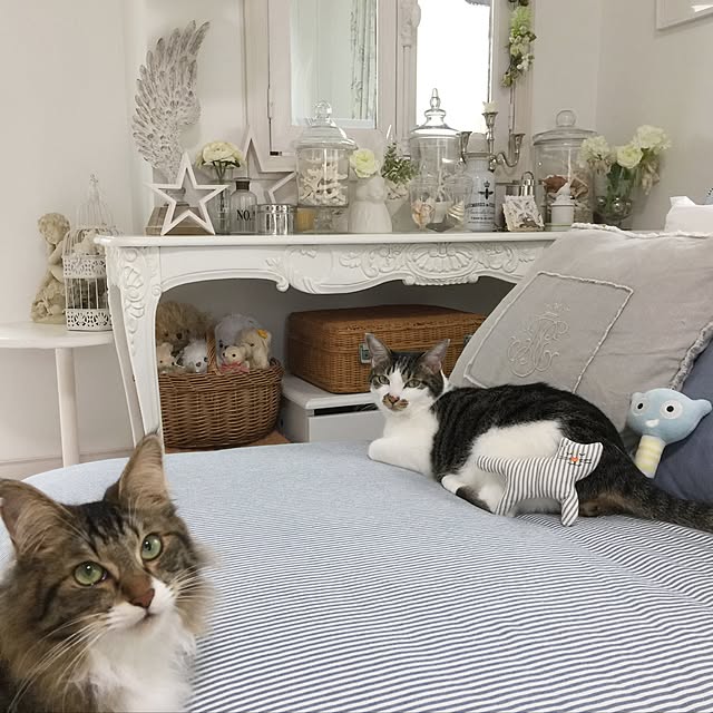 yuchiさんの実例写真