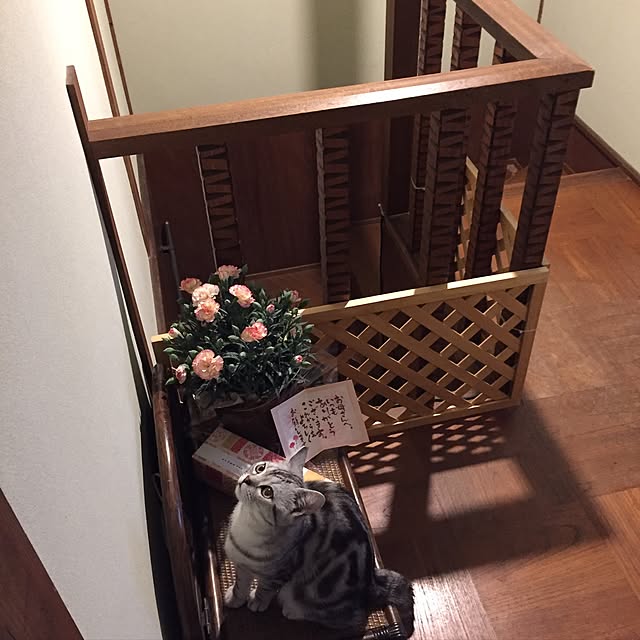 tanutanさんの実例写真