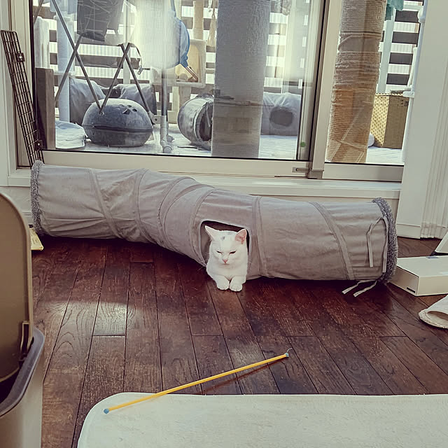 実例写真