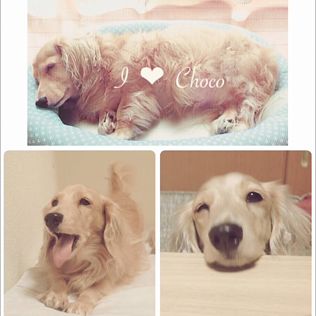 choco_tanさんの実例写真