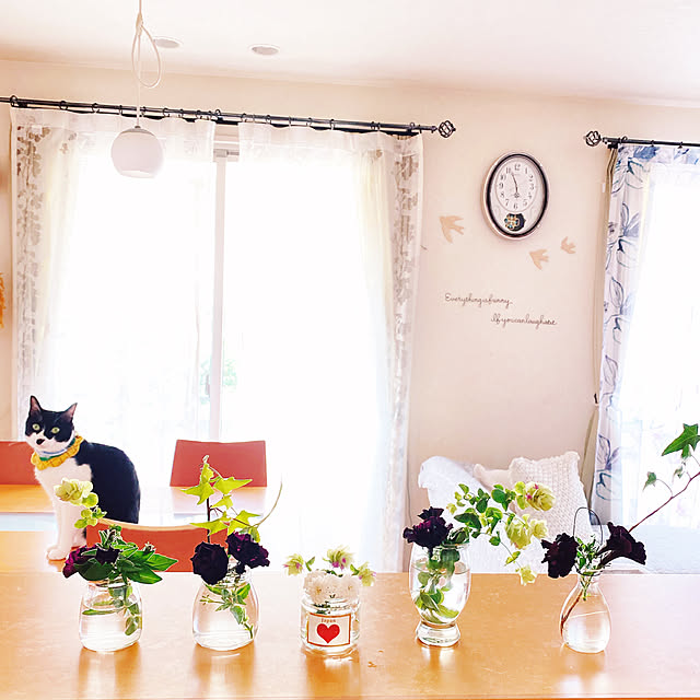 moolさんの部屋