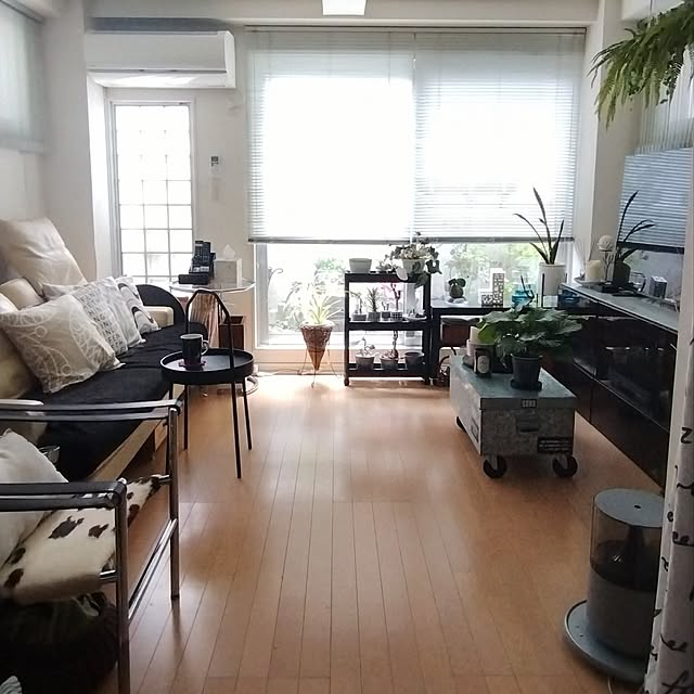 jinさんの実例写真