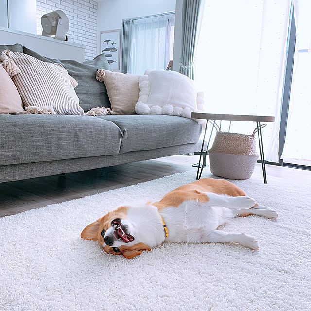 3ayuさんの実例写真
