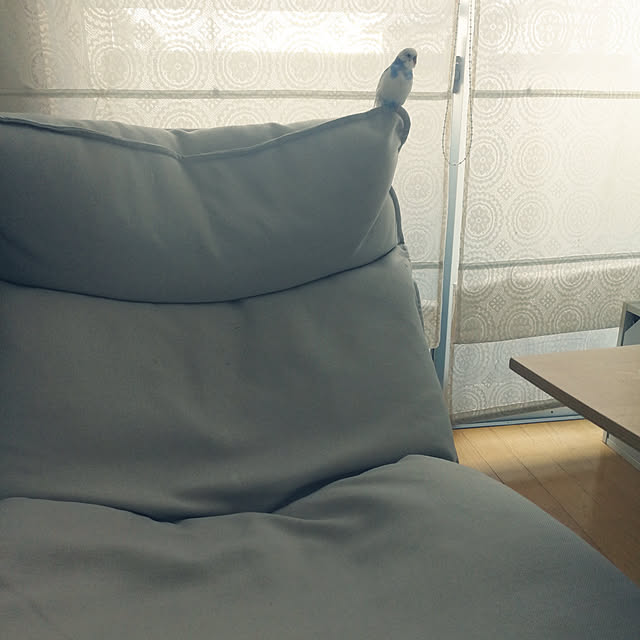 cocoamilkさんの実例写真