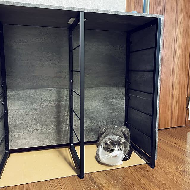 tansukeさんの実例写真