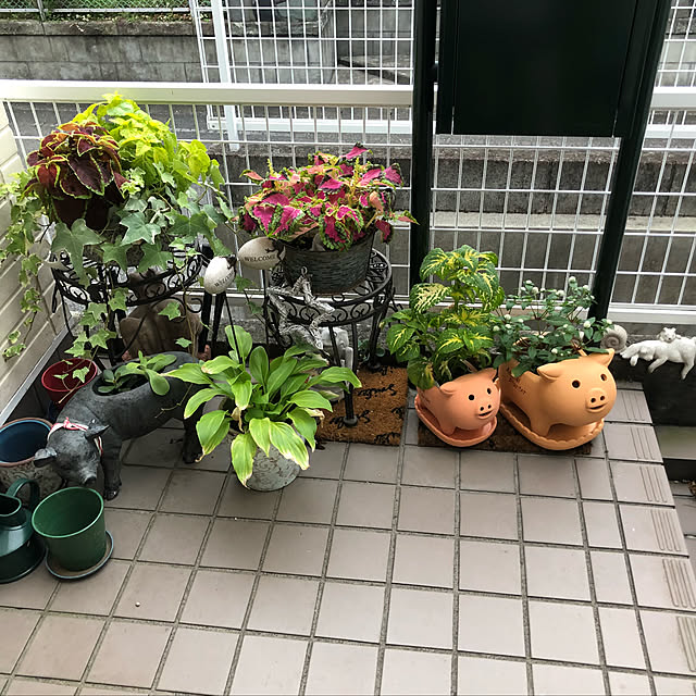 yu.kana.haruさんの実例写真