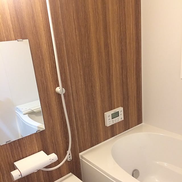 実例写真