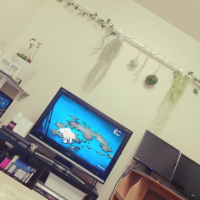 ダイソー/ナチュラル/雑貨/100均/多肉植物...などのインテリア実例 - 2019-04-19 15:41:04
