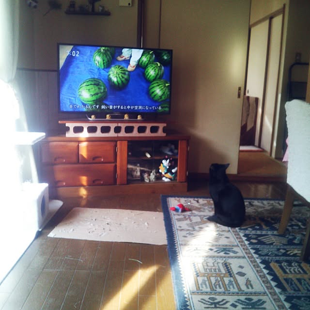 実例写真