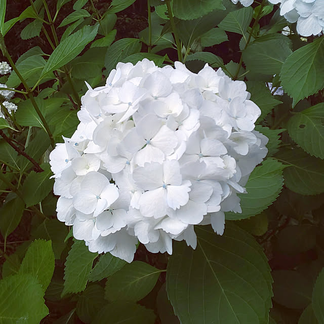 YUKOさんの実例写真