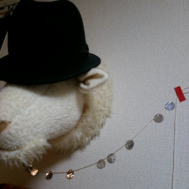 acaさんの実例写真