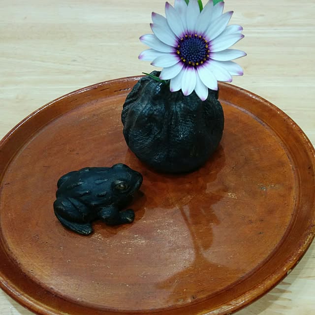 siroさんの実例写真