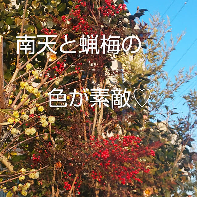 YUKOさんの実例写真