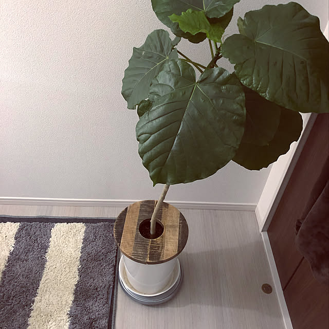w_fox0713さんの実例写真
