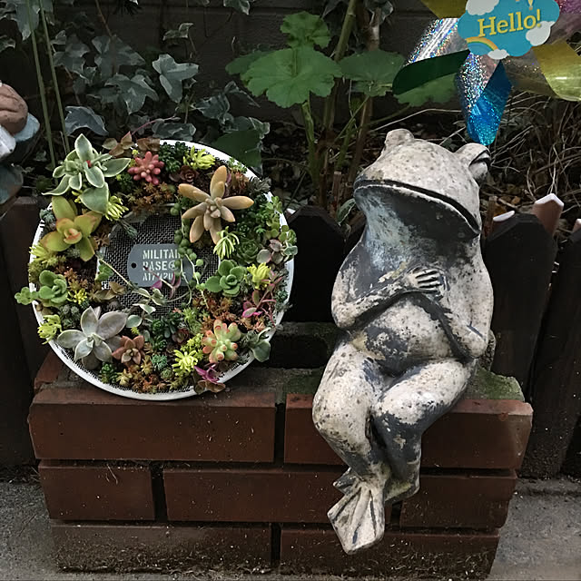 maroさんの実例写真