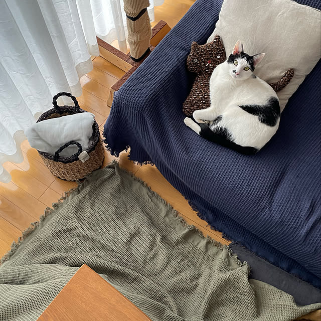 nobikoさんの実例写真
