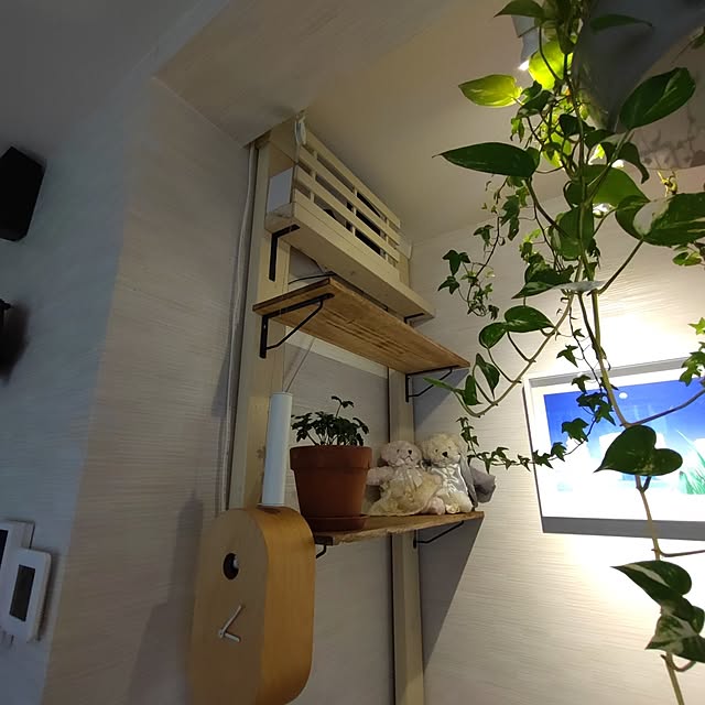 pikuminさんの部屋