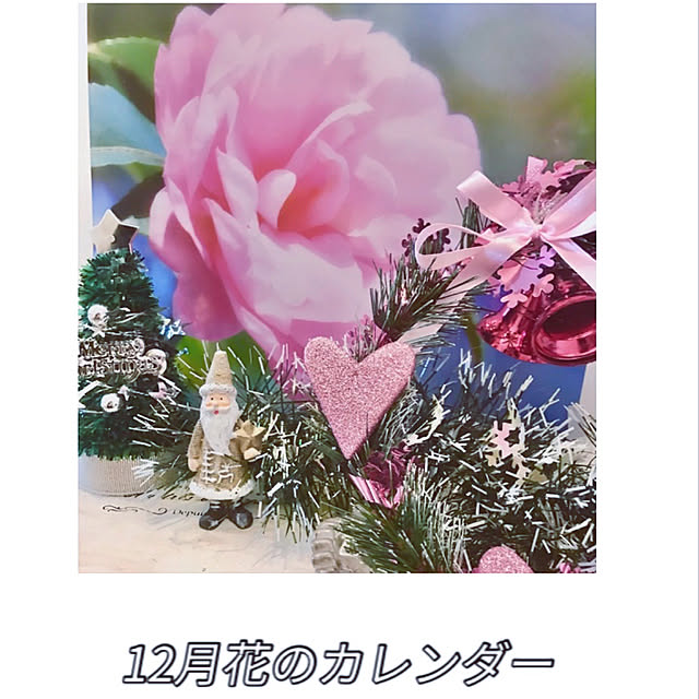 fuuさんの実例写真