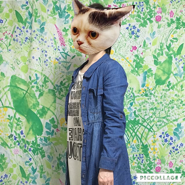 ZARYANさんの実例写真