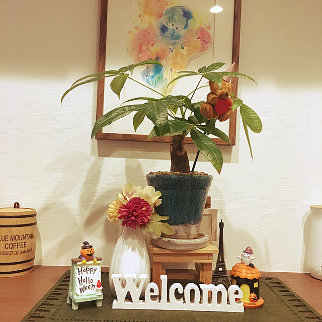 chi-chaさんの実例写真